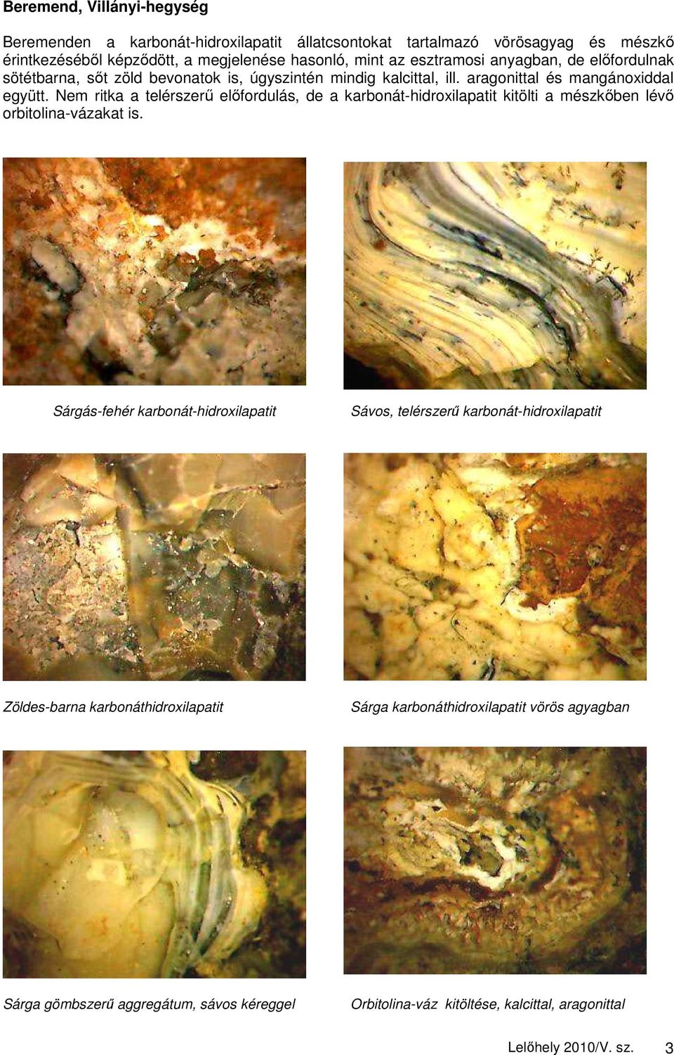 Nem ritka a telérszerő elıfordulás, de a karbonát-hidroxilapatit kitölti a mészkıben lévı orbitolina-vázakat is.