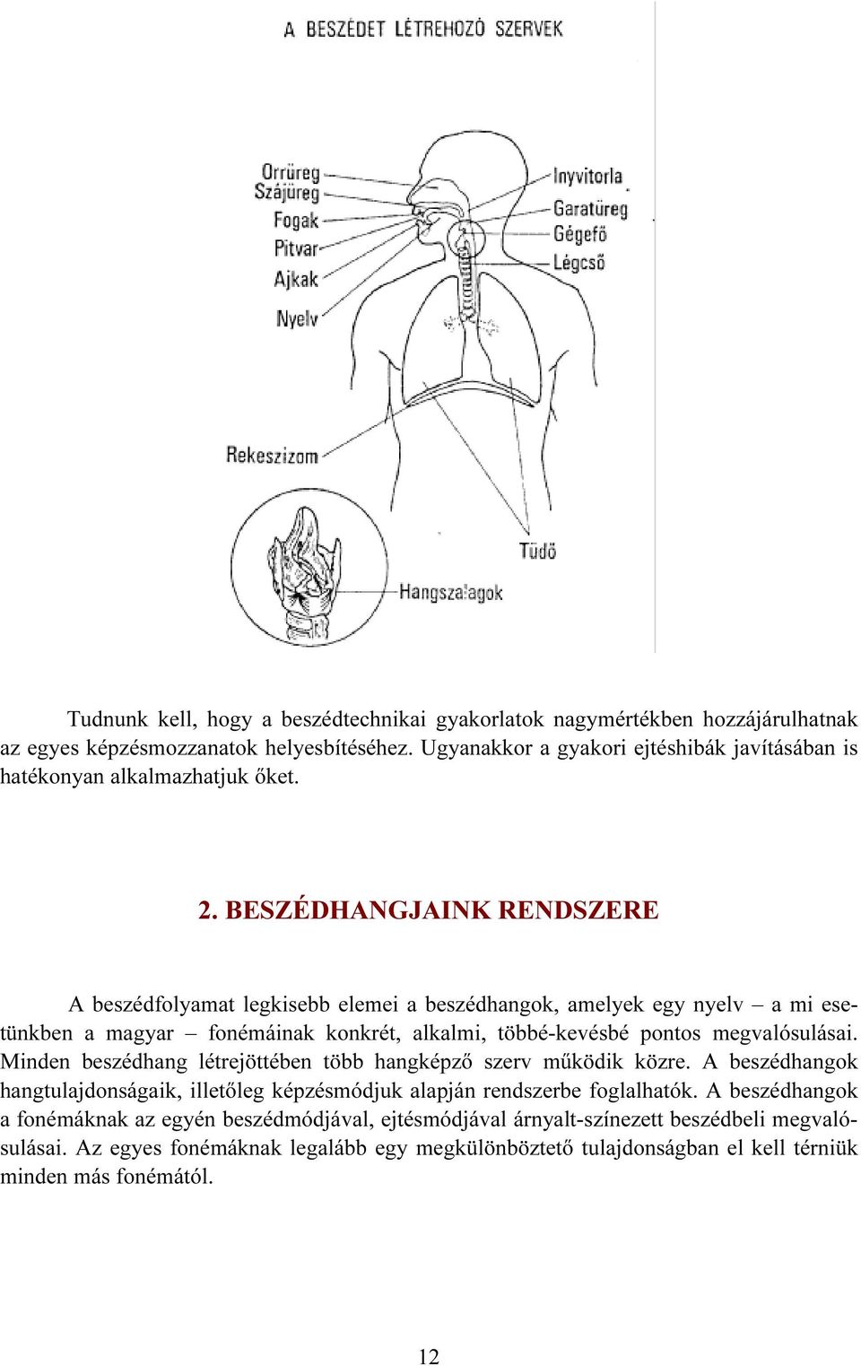 BESZÉDHANGJAINK RENDSZERE A beszédfolyamat legkisebb elemei a beszédhangok, amelyek egy nyelv a mi esetünkben a magyar fonémáinak konkrét, alkalmi, többé-kevésbé pontos megvalósulásai.