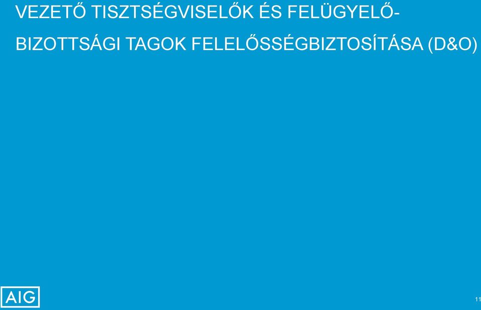 FELÜGYELŐ-