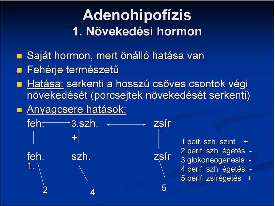 serkenti a hosszú csöves csontok végi v növekedését t (porcsejtek növekedn vekedését t serkenti)