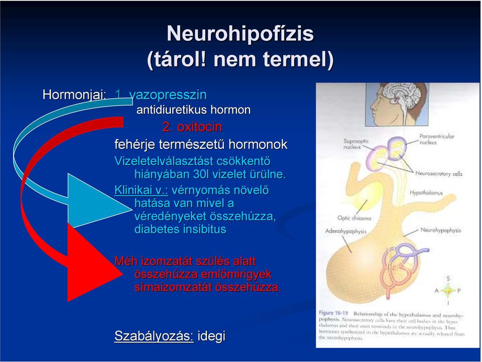 vizelet ürülne. Klinikai v.