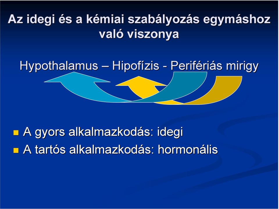 Hipofízis - Periféri riás mirigy A gyors