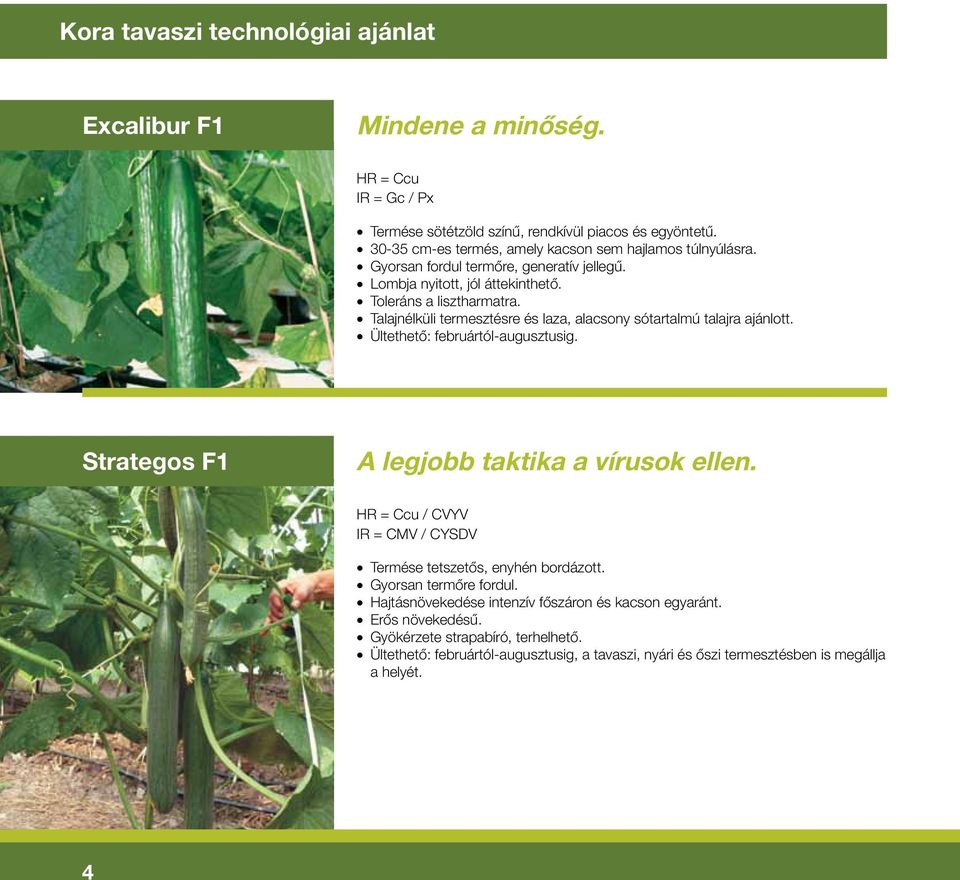 Talajnélküli termesztésre és laza, alacsony sótartalmú talajra ajánlott. Ültethetô: februártól-augusztusig. Strategos F1 A legjobb taktika a vírusok ellen.