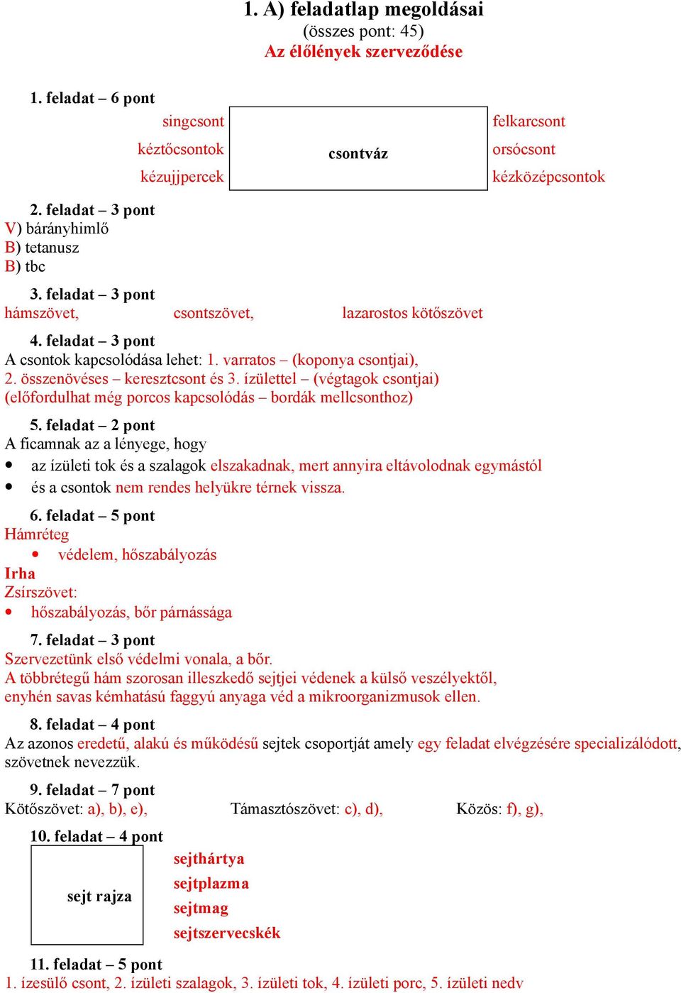 összenövéses keresztcsont és 3. ízülettel (végtagok csontjai) (előfordulhat még porcos kapcsolódás bordák mellcsonthoz) 5.