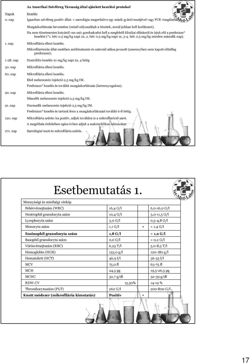 Ha nem tünetmentes kutyáról van szó: gondoskodni kell a megfelelő klinikai ellátásról és írjuk elő a prednizon* kezelést (*1. hét: 0.5 mg/kg napi 2x, 2. hét: 0.5 mg/kg napi 1x, 3-4. hét: 0.5 mg/kg minden második nap).