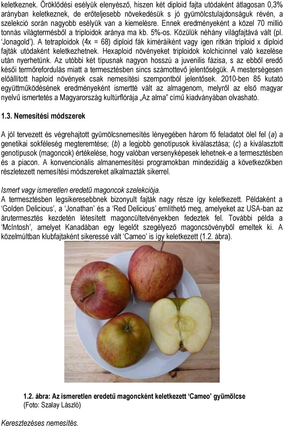 van a kiemelésre. Ennek eredményeként a közel 70 millió tonnás világtermésből a triploidok aránya ma kb. 5%-os. Közülük néhány világfajtává vált (pl. Jonagold ).