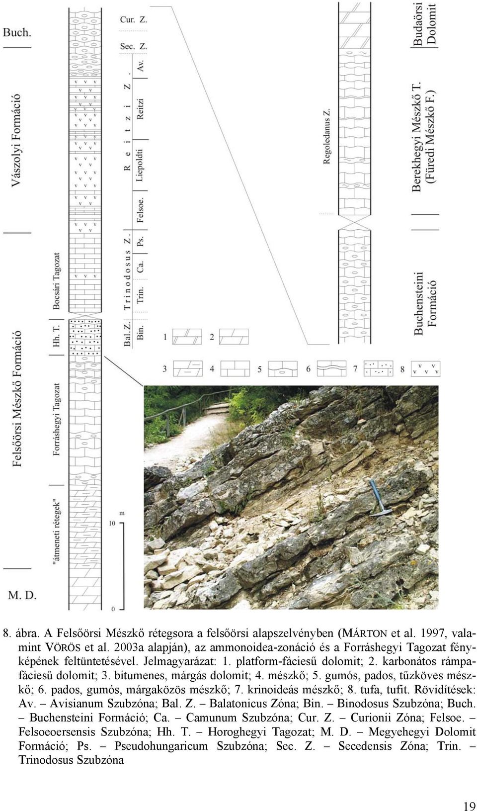 bitumenes, márgás dolomit; 4. mészkő; 5. gumós, pados, tűzköves mészkő; 6. pados, gumós, márgaközös mészkő; 7. krinoideás mészkő; 8. tufa, tufit. Rövidítések: Av. Avisianum Szubzóna; Bal. Z.