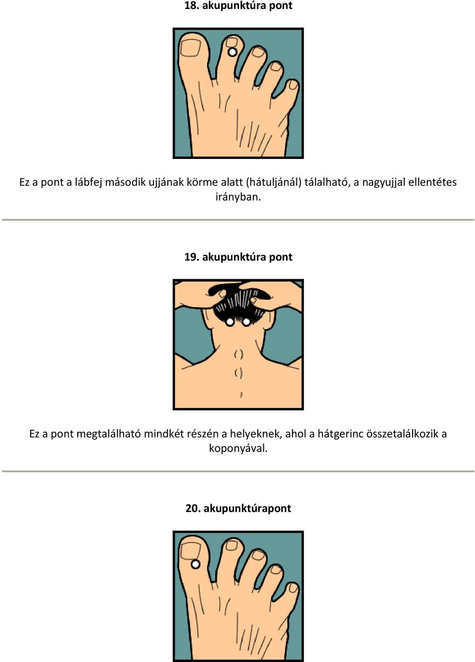 akupunktúra pont Ez a pont megtalálható mindkét részén a