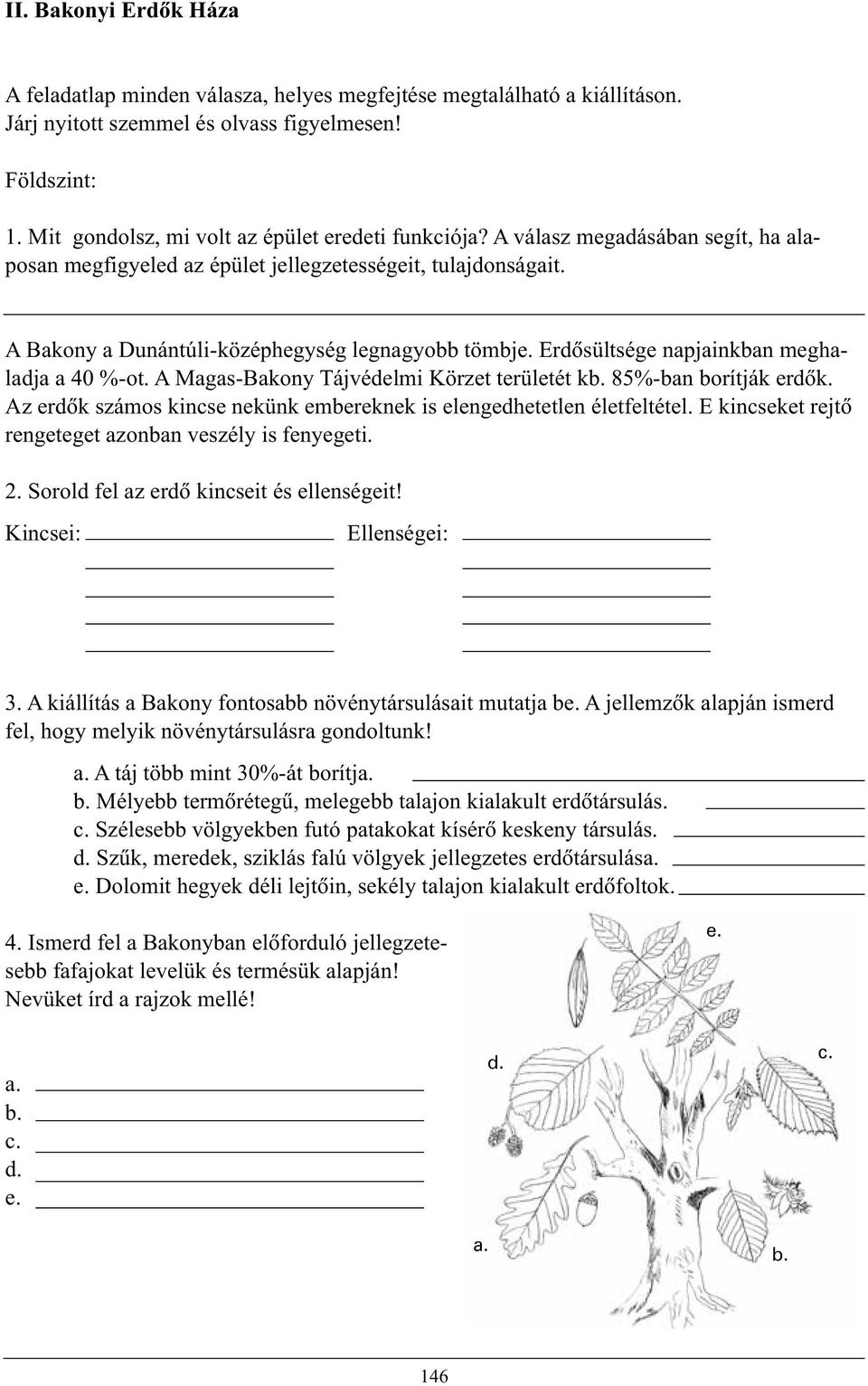 Erdõsültsége napjainkban meghaladja a 40 %-ot. A Magas-Bakony Tájvédelmi Körzet területét kb. 85%-ban borítják erdõk. Az erdõk számos kincse nekünk embereknek is elengedhetetlen életfeltétel.