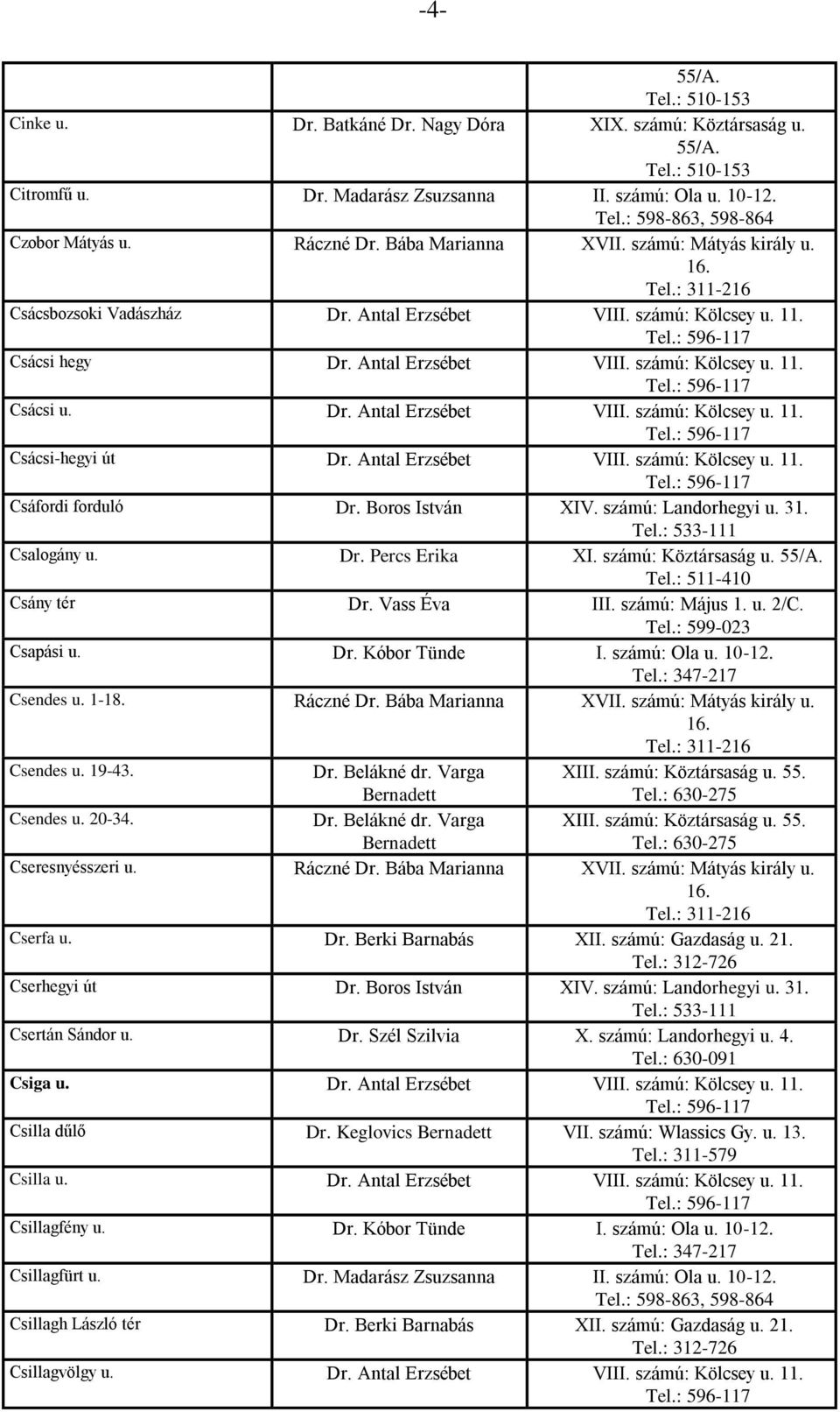 Antal Erzsébet VIII. számú: Kölcsey u. 11. Csáfordi forduló Dr. Boros István XIV. számú: Landorhegyi u. 31. Csalogány u. Dr. Percs Erika XI. számú: Köztársaság u. Csány tér Dr. Vass Éva III.