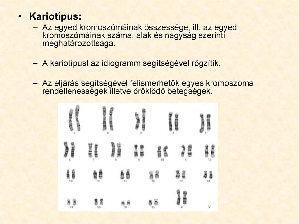 meghatározottsága. A kariotípust az idiogramm segítségével rögzítik.