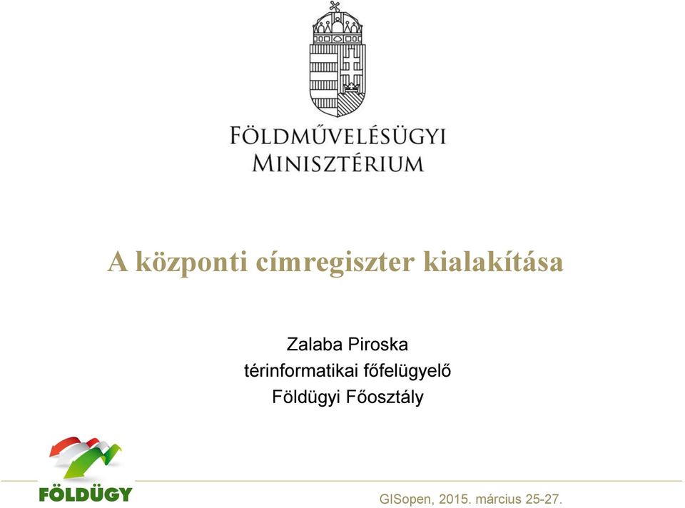 térinformatikai főfelügyelő