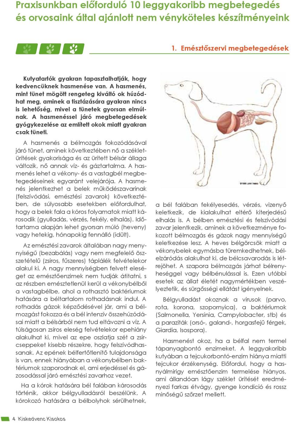 A hasmenés, mint tünet mögött rengeteg kiváltó ok húzódhat meg, aminek a tisztázására gyakran nincs is lehetőség, mivel a tünetek gyorsan elmúlnak.