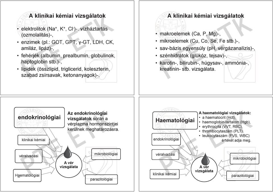 )-, lipidek (összlipid, triglicerid, koleszterin, szabad zsírsavak, ketonanyagok)-, A klinikai kémiai vizsgálatok makroelemek (Ca, P, Mg)-, mikroelemek (Cu, Co, Se, Fe stb.