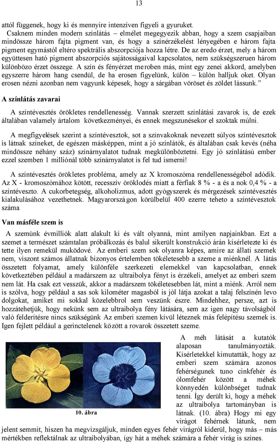 spektrális abszorpciója hozza létre. De az eredo érzet, mely a három együttesen ható pigment abszorpciós sajátosságaival kapcsolatos, nem szükségszeruen három különbözo érzet összege.