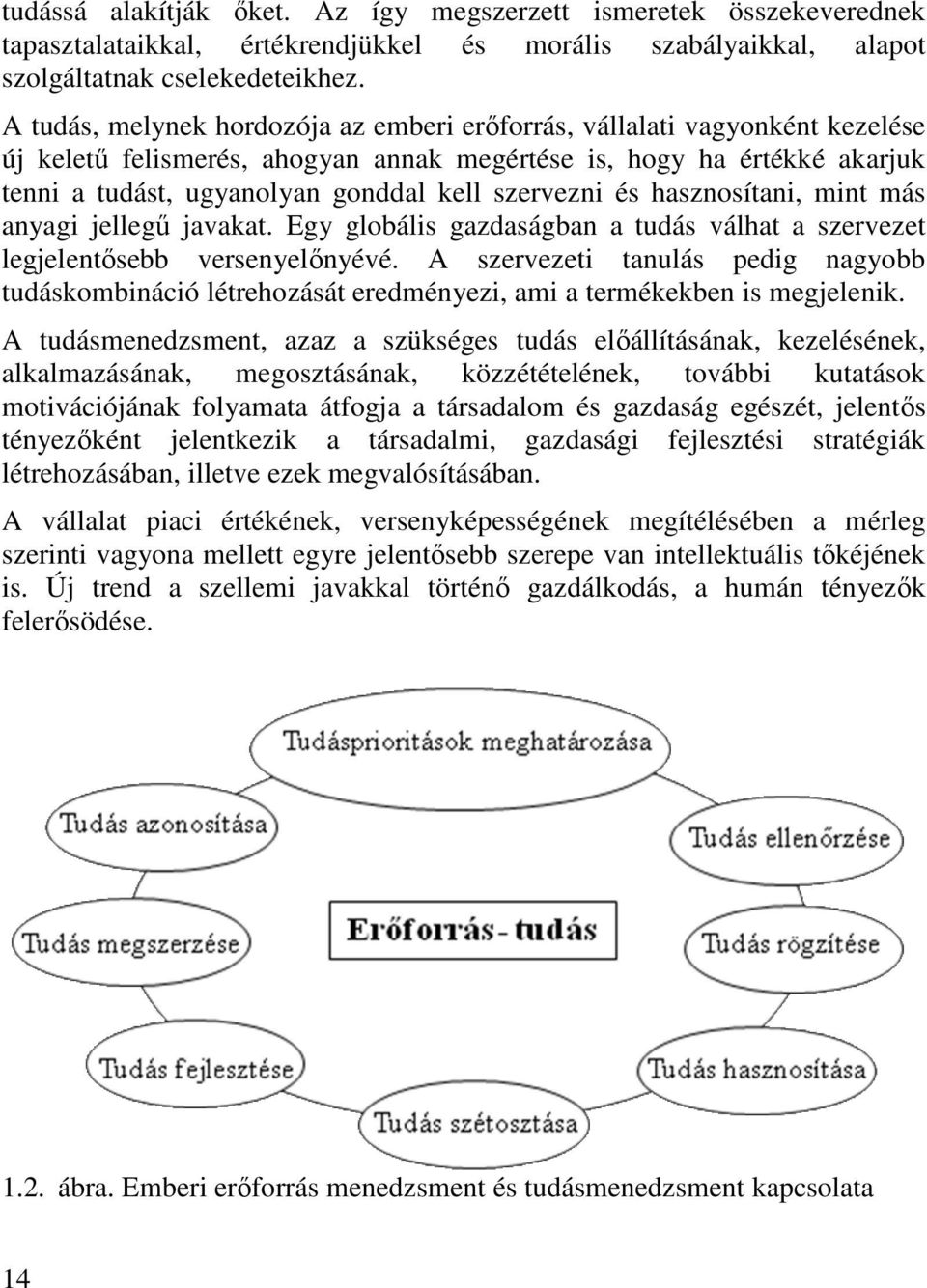 szervezni és hasznosítani, mint más anyagi jellegű javakat. Egy globális gazdaságban a tudás válhat a szervezet legjelentősebb versenyelőnyévé.