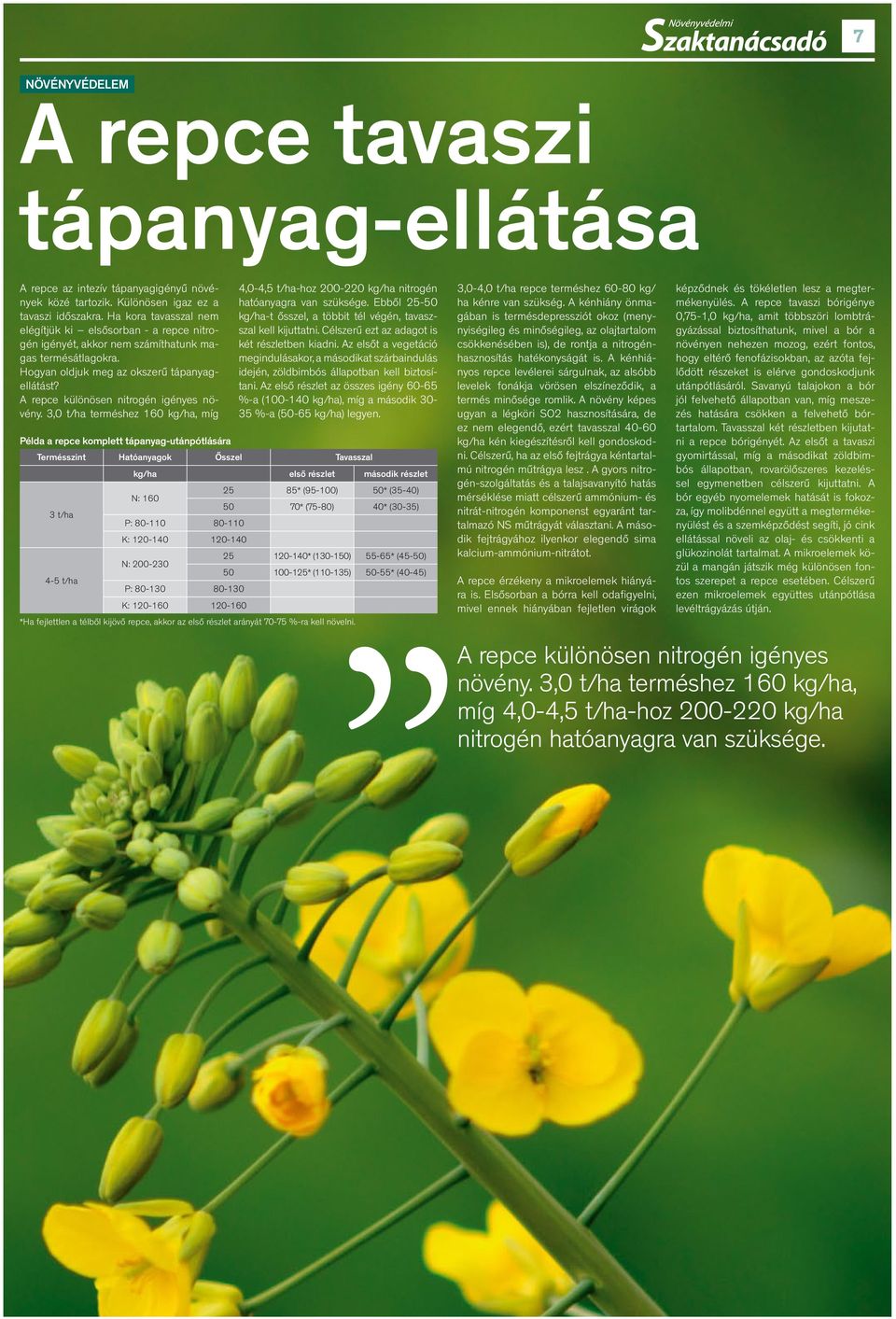 A repce különösen nitrogén igényes növény. 3,0 t/ha terméshez 160 kg/ha, míg 4,0-4,5 t/ha-hoz 200-220 kg/ha nitrogén hatóanyagra van szüksége.