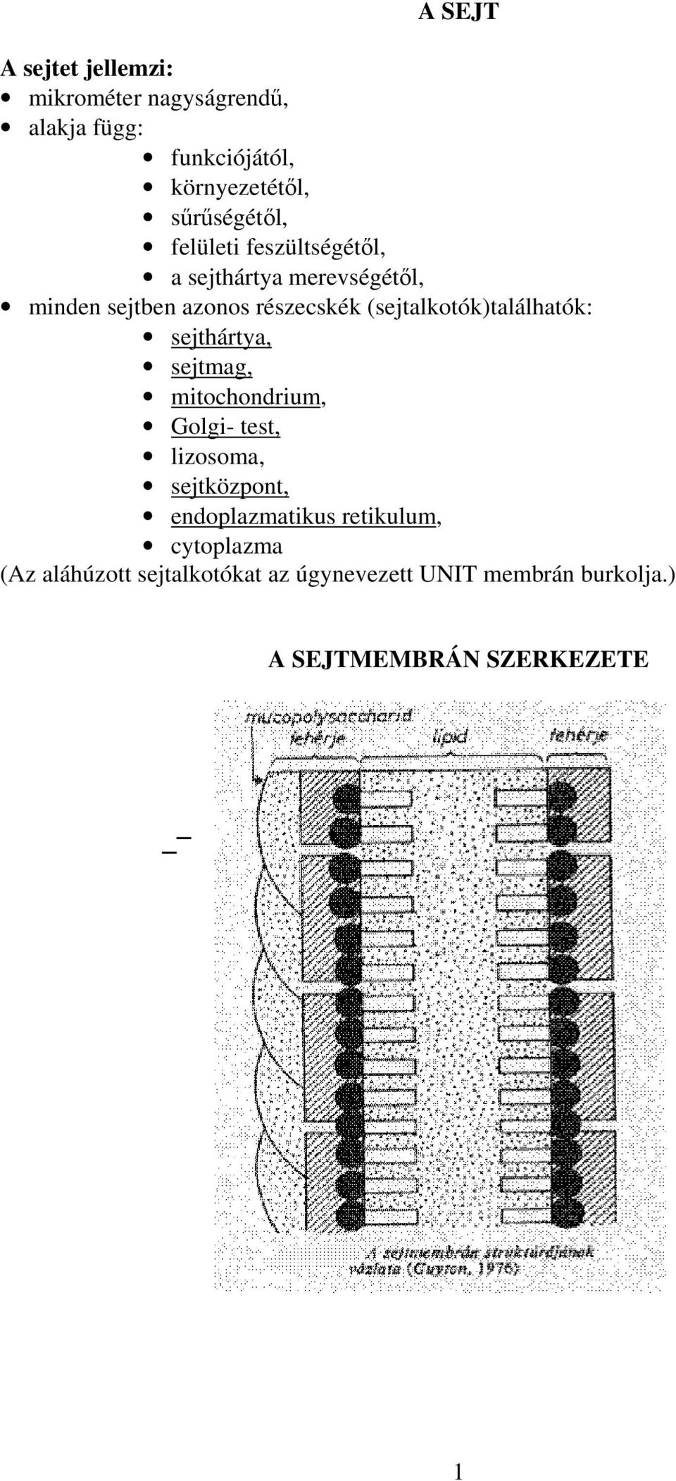 (sejtalkotók)találhatók: sejthártya, sejtmag, mitochondrium, Golgi- test, lizosoma, sejtközpont,