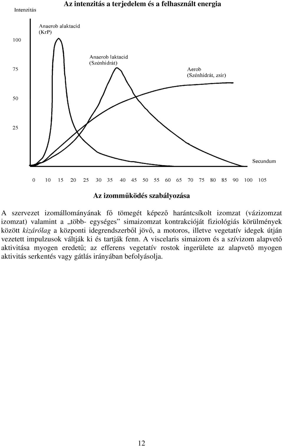 idegrendszerből jövő, a motoros, illetve vegetatív idegek útján vezetett impulzusok váltják ki és tartják fenn.