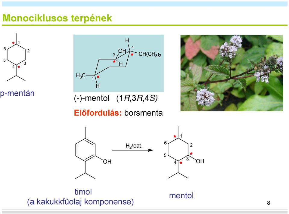 (1R,3R,4S) Előfordulás: borsmenta 1 2