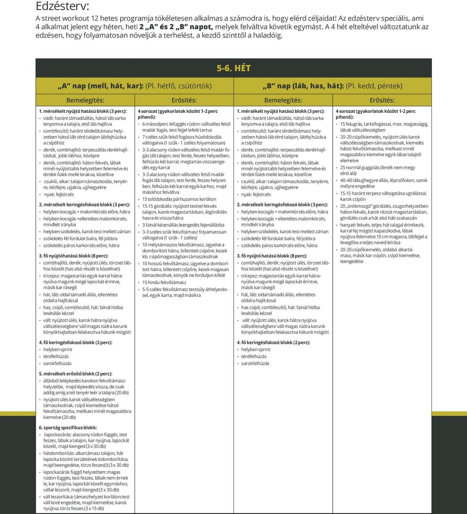 A 4 elteltével változtatunk az edzésen, hogy folyamatosan növeljük a terhelést, a kezdő szinttől a haladóig. 5-6. HÉT A nap (mell, hát, kar): (Pl. fő, csütörtök) B nap (láb, has, hát): (Pl.