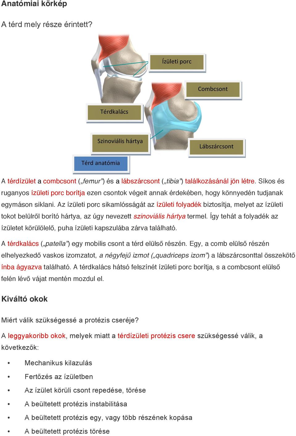 Síkos és ruganyos ízületi porc borítja ezen csontok végeit annak érdekében, hogy könnyedén tudjanak egymáson siklani.