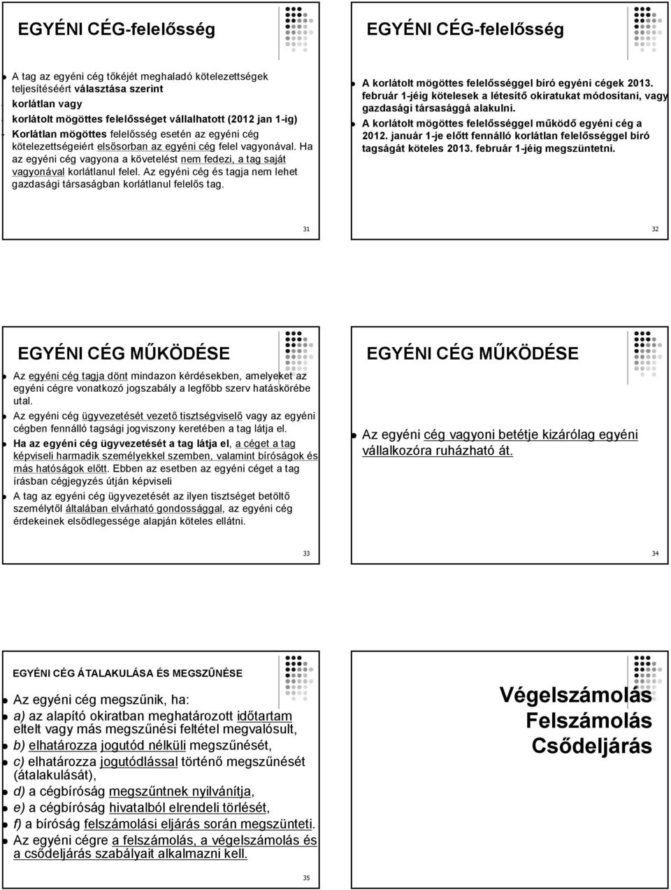 Ha az egyéni cég vagyona a követelést nem fedezi, a tag saját vagyonával korlátlanul felel. Az egyéni cég és tagja nem lehet gazdasági társaságban korlátlanul felelős tag.