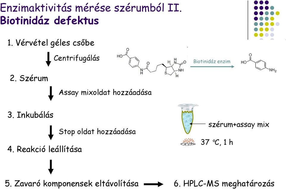 Szérum Assay mixoldat hozzáadása 3. Inkubálás Stop oldat hozzáadása 4.