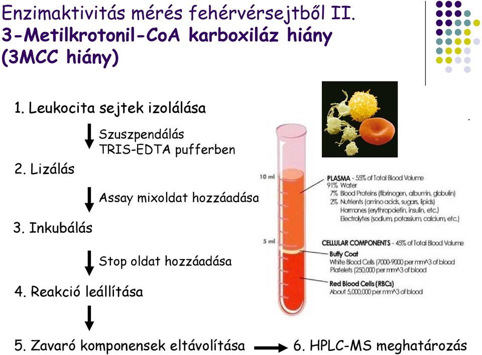 Leukocita sejtek izolálása 2.