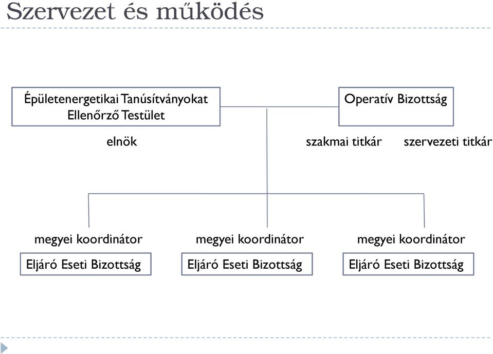 titkár megyei koordinátor Eljáró Eseti Bizottság megyei