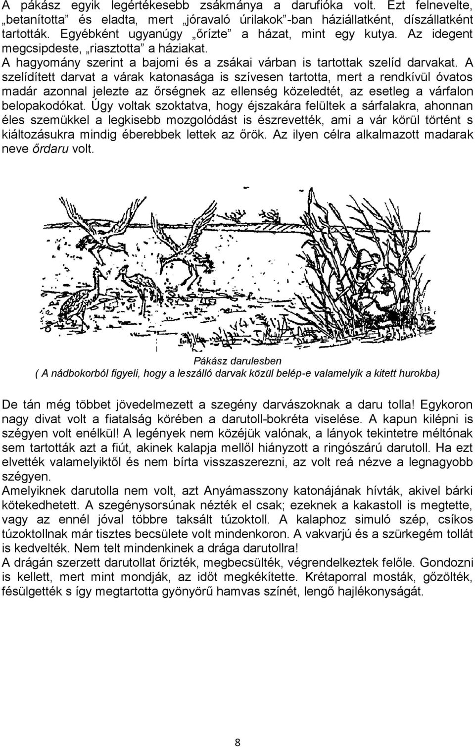 A szelídített darvat a várak katonasága is szívesen tartotta, mert a rendkívül óvatos madár azonnal jelezte az őrségnek az ellenség közeledtét, az esetleg a várfalon belopakodókat.