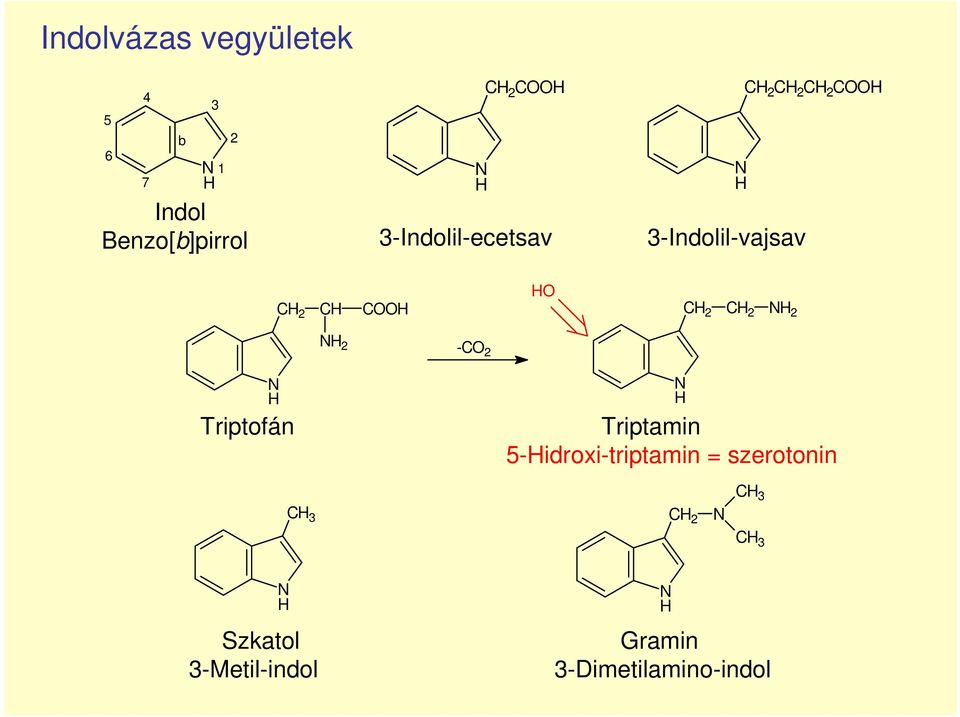 C 2 2 2 -C 2 Triptofán Triptamin 5-idroxi-triptamin =