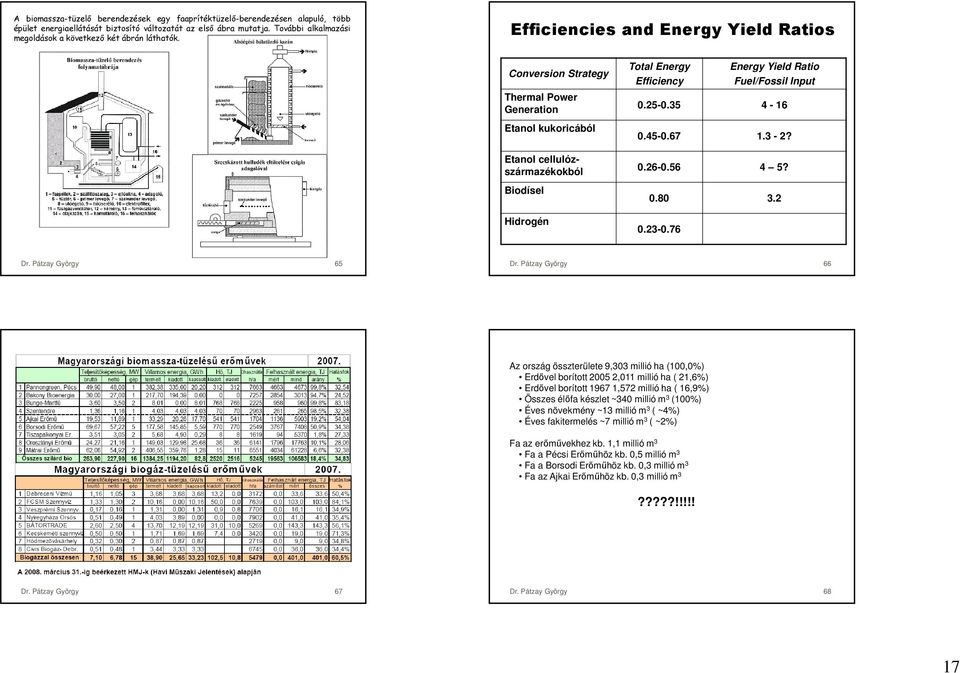 Efficiencies and Energy Yield Ratios Conversion Strategy Thermal Power Generation Etanol kukoricából Etanol cellulózszármazékokból Biodísel Hidrogén Total Energy Efficiency Energy Yield Ratio