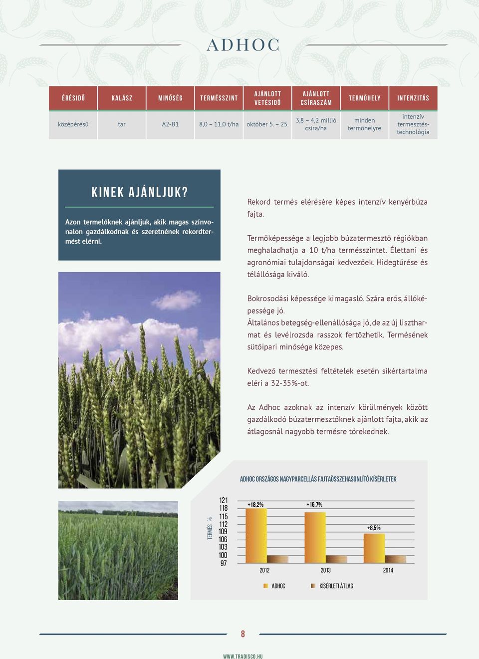 Rekord termés elérésére képes intenzív kenyérbúza fajta. Termőképessége a legjobb búzater mesztő régiókban meghaladhatja a 10 t/ha termésszintet. Élettani és agronómiai tulajdonságai kedvezőek.