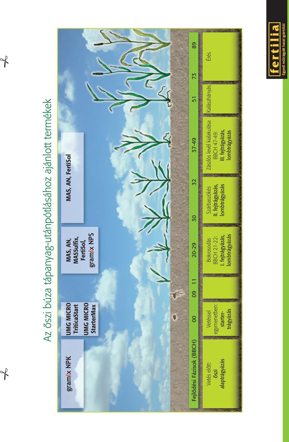 előtt: őszi alaptrágyázás Vetéssel egymenetben: startertrágyázás Bokrosodás BBCH 21-22: i.