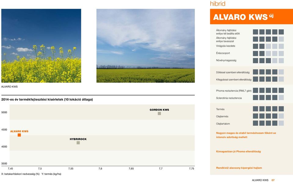 GORDON KWS Termés Olajtermés Olajtartalom 4500 ALVARO KWS HYBRIROCK Nagyon magas és stabil terméshozam főként az intenzív adottság mellett 4000