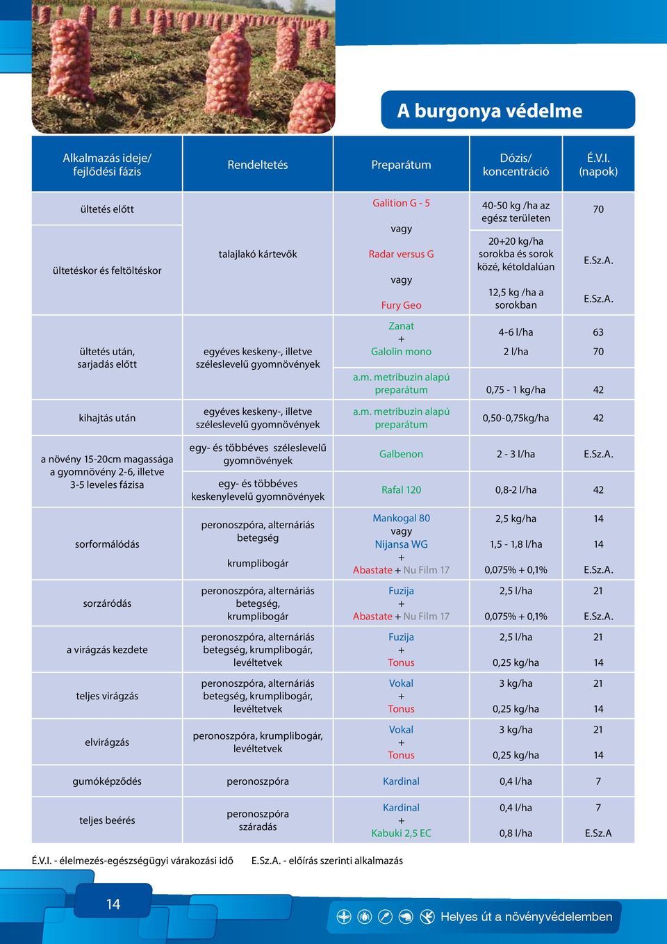 m. metribuzin alapú preparátum 0,50-0,75kg/ha 42 a növény 15-20cm magassága a gyomnövény 2-6, illetve 3-5 leveles fázisa gyomnövények egy- és többéves keskenylevelű gyomnövények Galbenon 2-3 l/ha