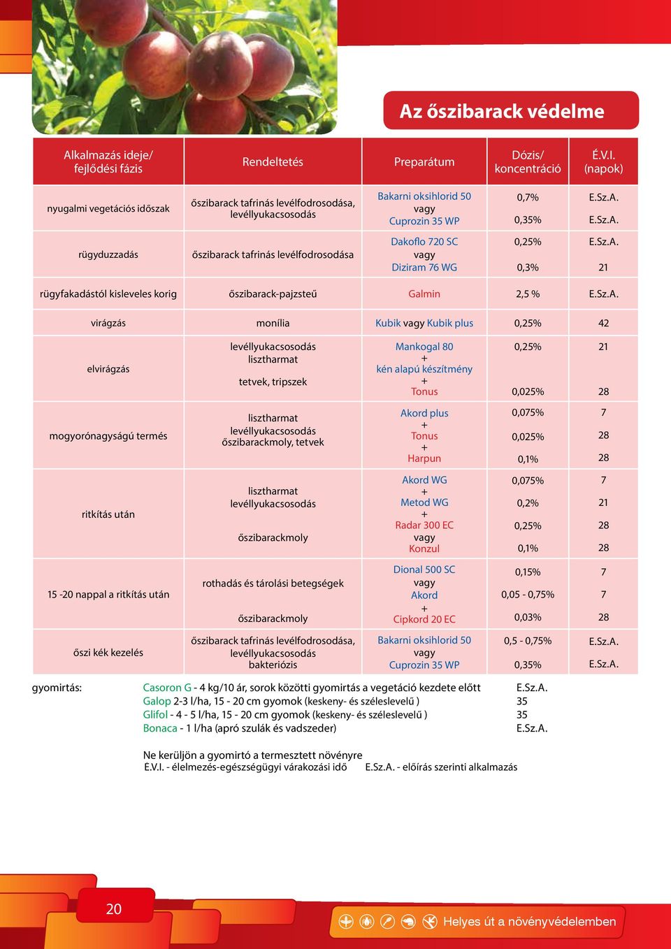 kén alapú készítmény Tonus 0,025% mogyorónagyságú termés levéllyukacsosodás őszibarackmoly, tetvek Akord plus Tonus Harpun 0,075% 0,025% 7 ritkítás után levéllyukacsosodás őszibarackmoly Akord WG