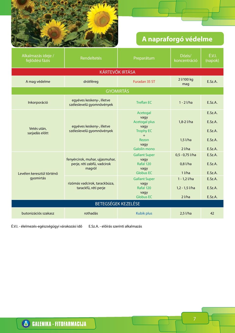 tarackbúza, tarackfű, réti perje Acetogal Acetogal plus Trophy EC Rezon Galolin mono Gallant Super Rafal 120 Globus EC Gallant Super Rafal 120 Globus EC 1,8-1,5 l/ha 0,5-0,75