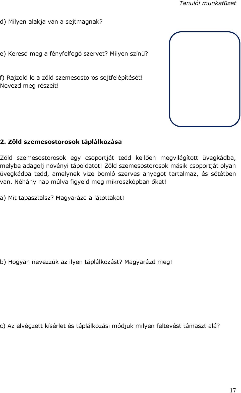 Zöld szemesostorosok másik csoportját olyan üvegkádba tedd, amelynek vize bomló szerves anyagot tartalmaz, és sötétben van.