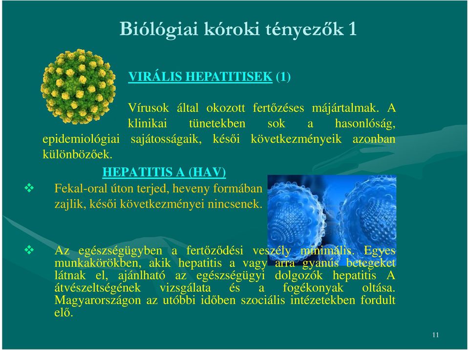 HEPATITIS A (HAV) Fekal-oral úton terjed, heveny formában zajlik, késői következményei nincsenek. Az egészségügyben a fertőződési veszély minimális.