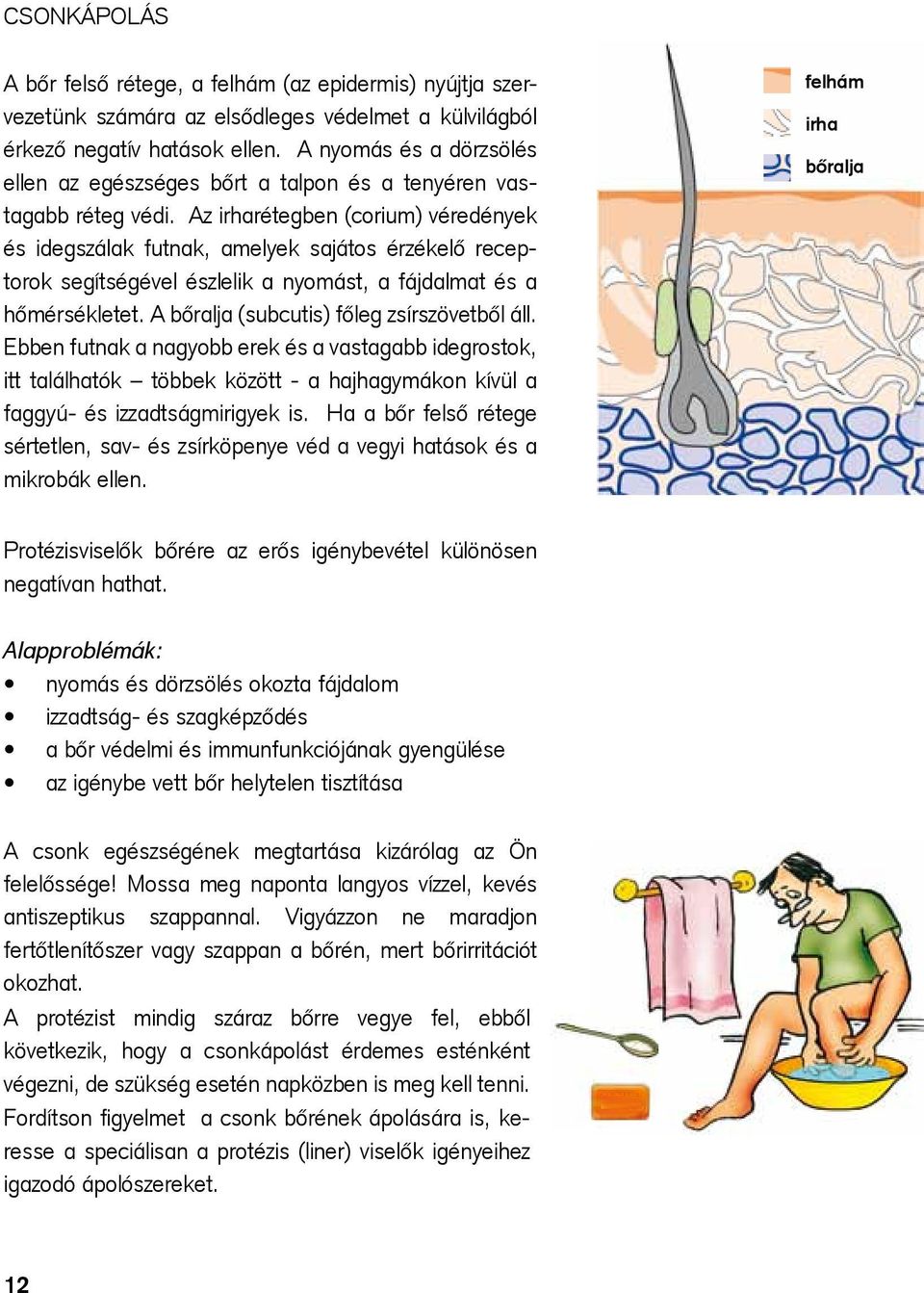 Az irharétegben (corium) véredények és idegszálak futnak, amelyek sajátos érzékelő receptorok segítségével észlelik a nyomást, a fájdalmat és a hőmérsékletet.