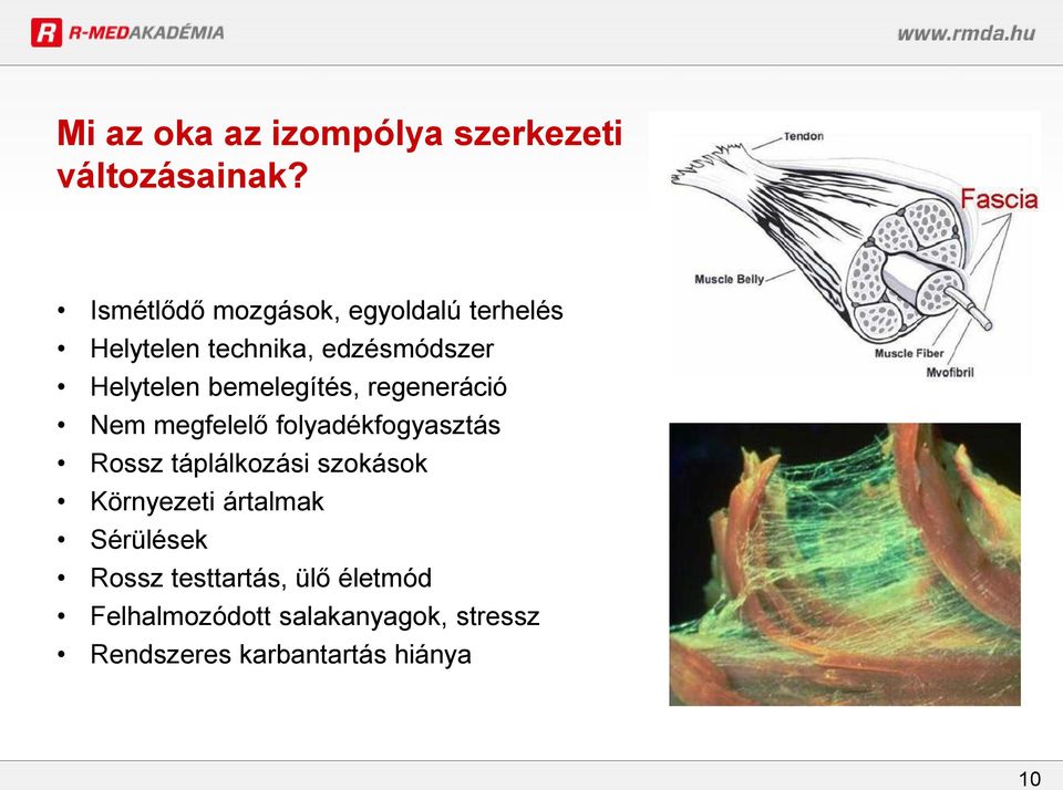 bemelegítés, regeneráció Nem megfelelő folyadékfogyasztás Rossz táplálkozási szokások