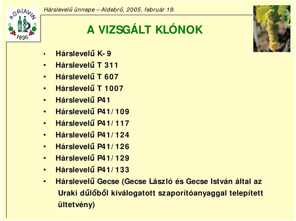 Hárslevelű P41/126 Hárslevelű P41/129 Hárslevelű P41/133 Hárslevelű Gecse (Gecse