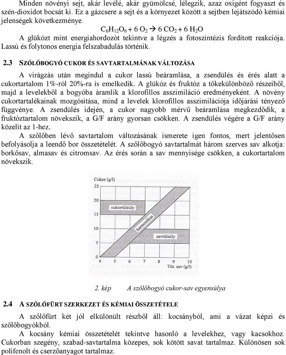 C 6 H 12 O 6 + 6 O 2 6 CO 2 + 6 H 2 O A glükózt mint energiahordozót tekintve a légzés a fotoszintézis fordított reakciója. Lassú és folytonos energia felszabadulás történik. 2.3 SZŐLŐBOGYÓ CUKOR ÉS SAVTARTALMÁNAK VÁLTOZÁSA A virágzás után megindul a cukor lassú beáramlása, a zsendülés és érés alatt a cukortartalom 1%-ról 20%-ra is emelkedik.
