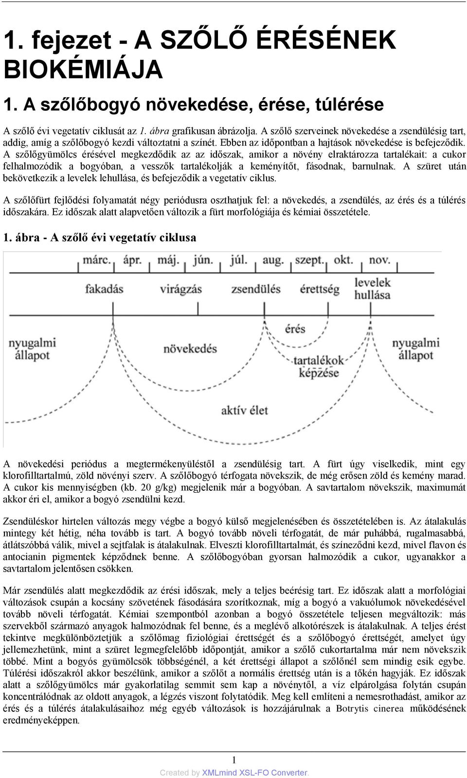 A szőlőgyümölcs érésével megkezdődik az az időszak, amikor a növény elraktározza tartalékait: a cukor felhalmozódik a bogyóban, a vesszők tartalékolják a keményítőt, fásodnak, barnulnak.