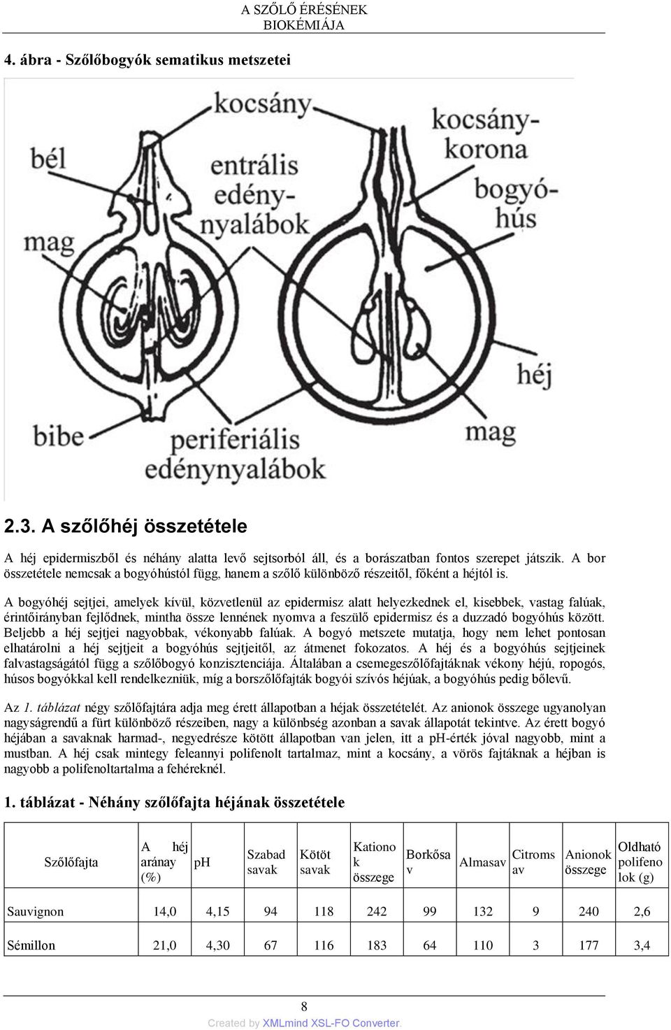 A bogyóhéj sejtjei, amelyek kívül, közvetlenül az epidermisz alatt helyezkednek el, kisebbek, vastag falúak, érintőirányban fejlődnek, mintha össze lennének nyomva a feszülő epidermisz és a duzzadó