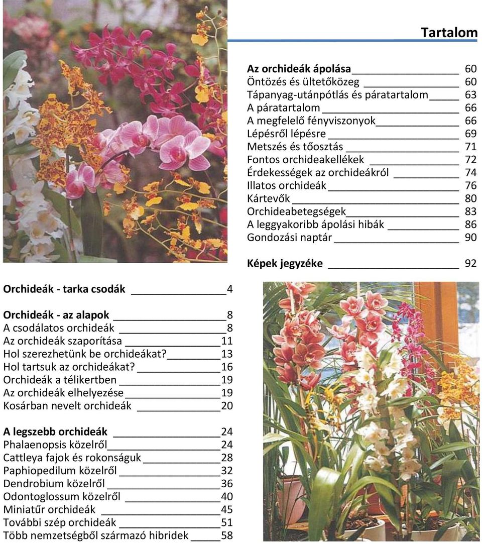 csodák 4 Orchideák - az alapok 8 A csodálatos orchideák 8 Az orchideák szaporítása 11 Hol szerezhetünk be orchideákat? 13 Hol tartsuk az orchideákat?