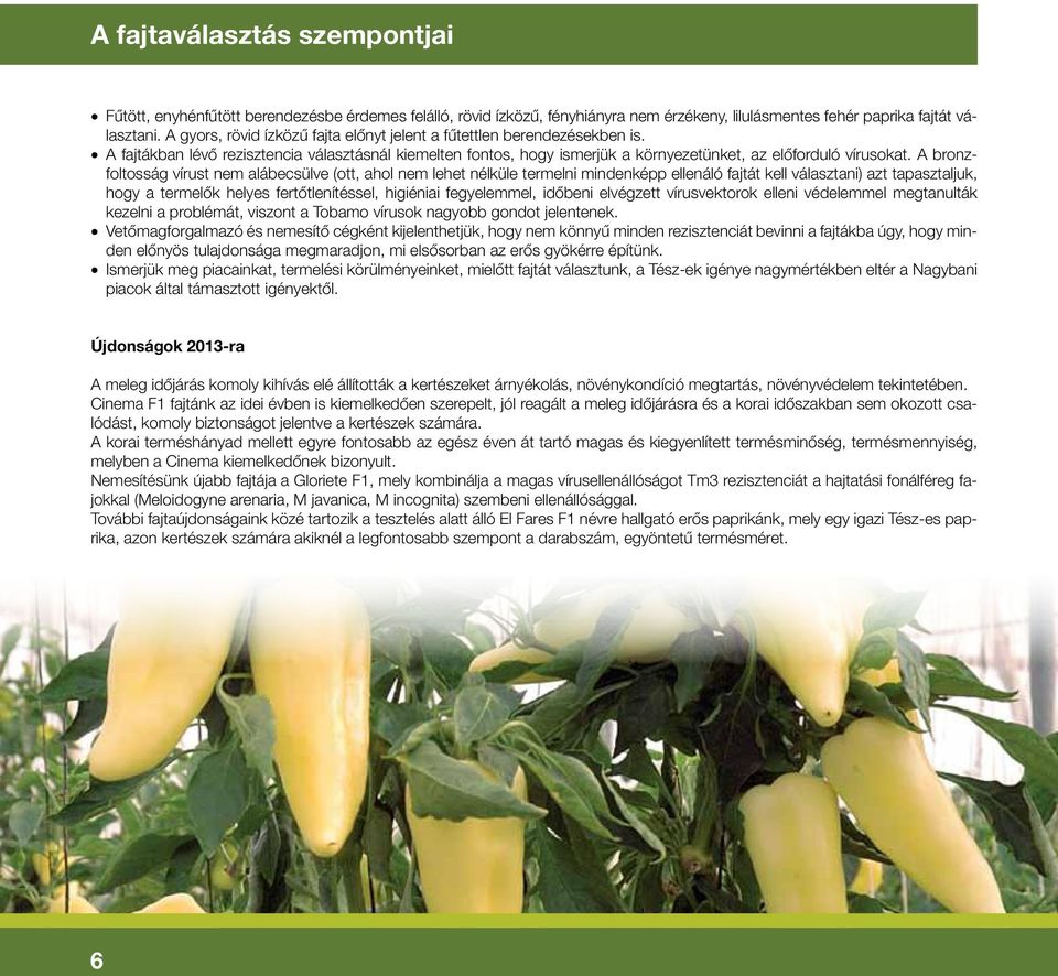 A bronzfol tosság ví rust nem alábecsülve (ott, ahol nem lehet nélküle termelni mindenképp ellenáló fajtát kell választani) azt tapasztaljuk, hogy a ter melôk helyes fertôtlenítéssel, higiéniai