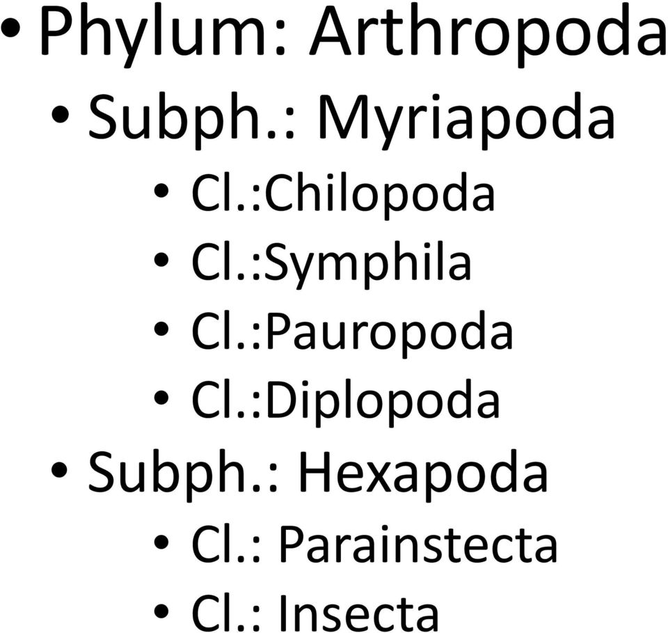 :Symphila Cl.:Pauropoda Cl.